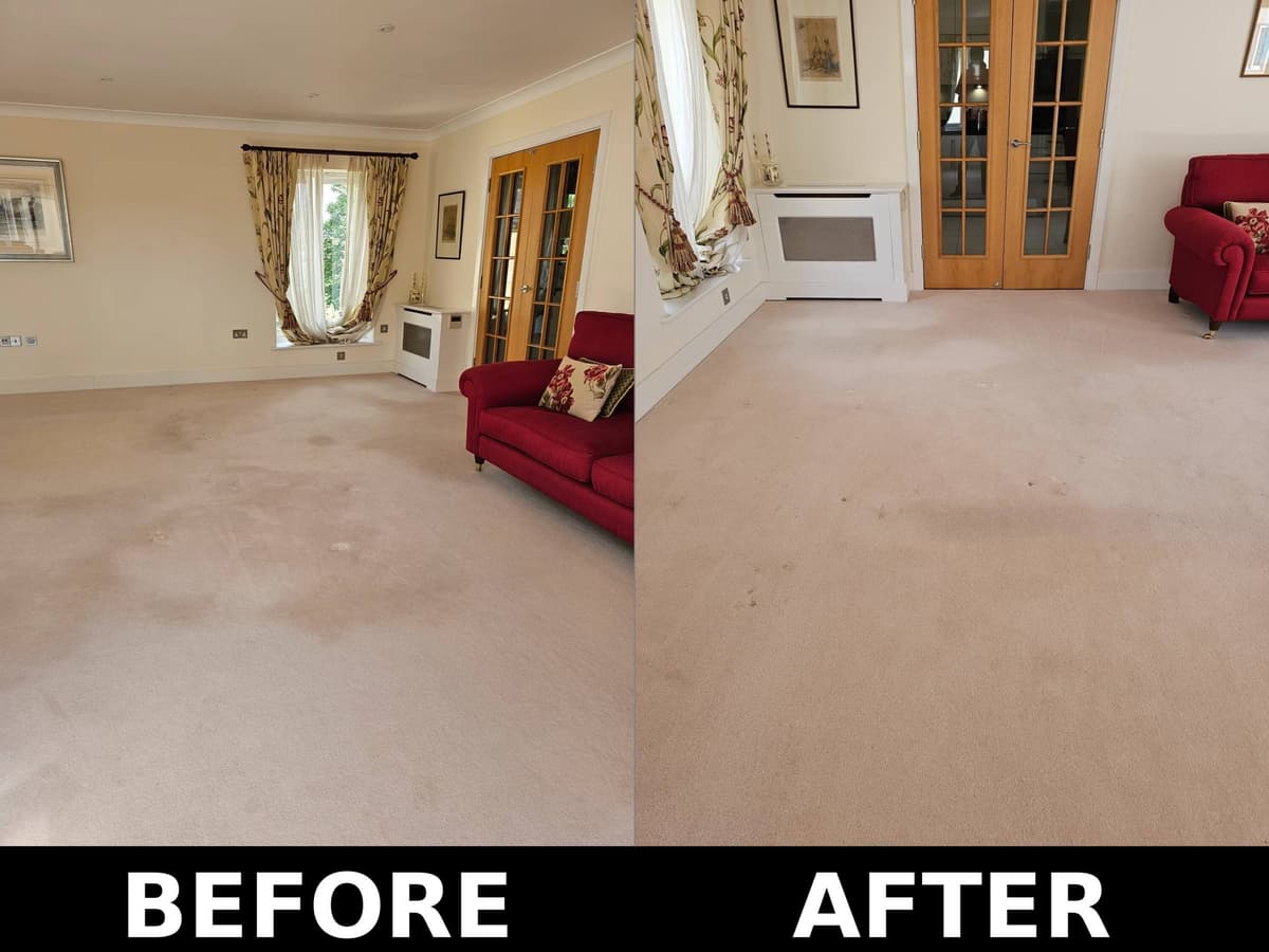 Before and after rug cleaning